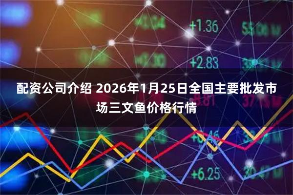 配资公司介绍 2026年1月25日全国主要批发市场三文鱼价格行情