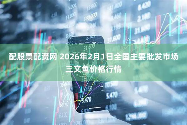 配股票配资网 2026年2月1日全国主要批发市场三文鱼价格行情
