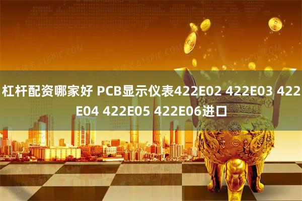 杠杆配资哪家好 PCB显示仪表422E02 422E03 422E04 422E05 422E06进口