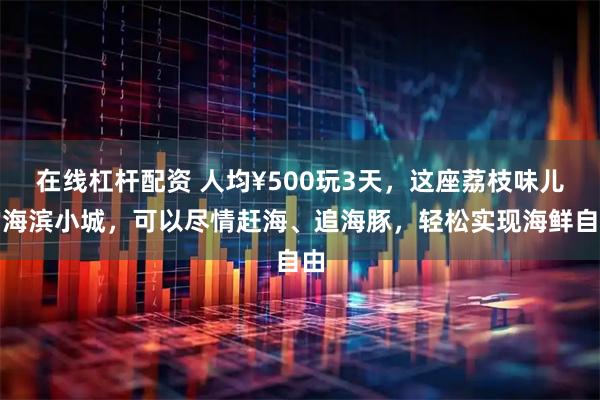 在线杠杆配资 人均¥500玩3天，这座荔枝味儿的海滨小城，可以尽情赶海、追海豚，轻松实现海鲜自由